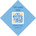 exemple qr junior