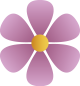 floral_junior_culture1