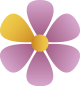 floral_junior_culture2