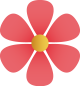 floral_junior_histoire1