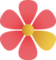 floral_junior_histoire2