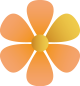 floral_junior_sports2