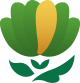 q_environnement_nature_petale